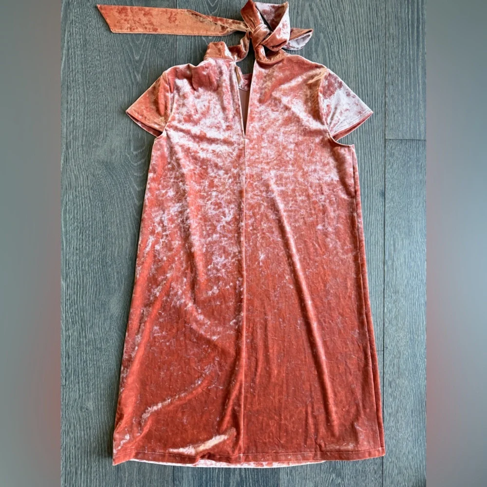 Madewell Crushed Velvet Mockneck Mini Shift Dress in Coral Size XS